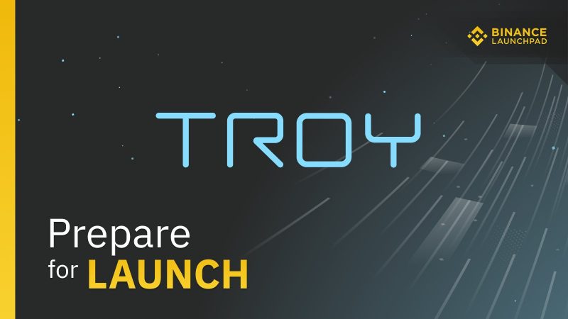 Binance(バイナンス)のIEO第11弾はTroy Tradeに決定