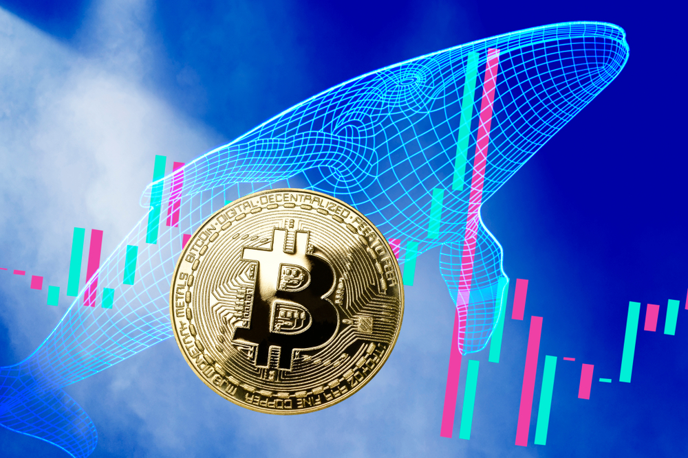 大口が約12億ドルのビットコインをロング|強気姿勢崩さず